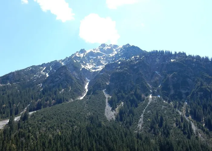 320 Kunners Oostenrijk