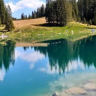 320 Kunners Oostenrijk